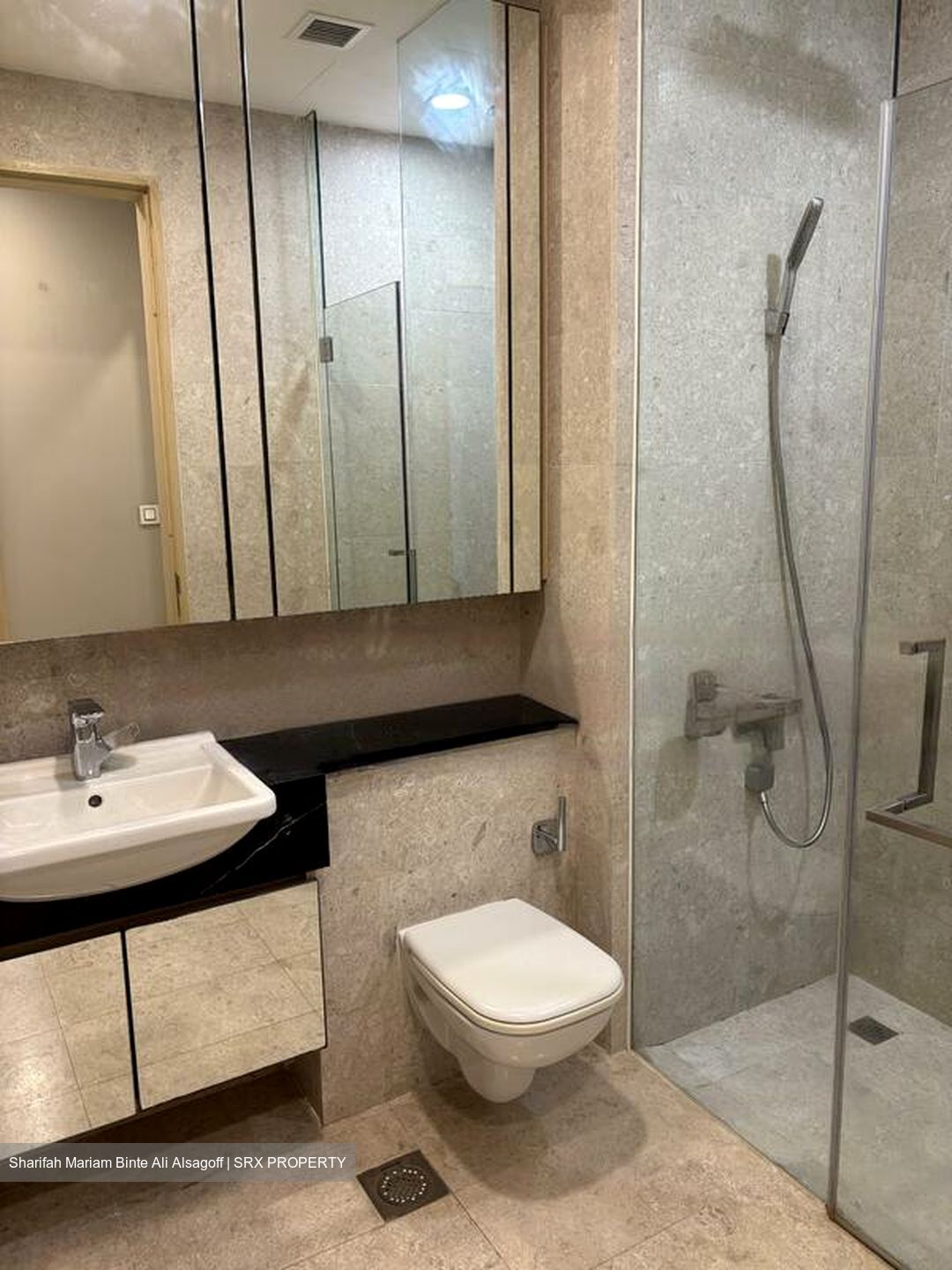 The Boutiq (D9), Apartment #474061381